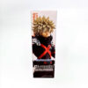 DSC0610497 My Hero Academia - Masterlise - You Are Next - Katsuki Bakugo - Premio B