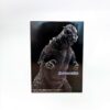 DSC0610561 Godzilla - Godzilla 1954 Sofvics - 70 Aniversario - Premio A