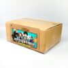 Mistery Box - Boku No Hero Academia