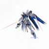 Metal Robot Spirits – Strike Freedom Gundam [Re:Coordinate]