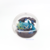 SF2460-7 Re-Ment - Pokémon - Terrarium Collection 14 - Varios Tipos (Suelto y Box)